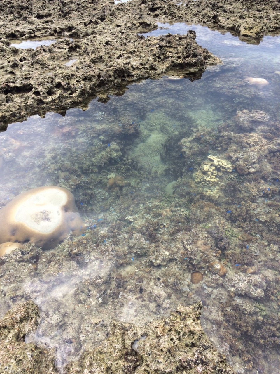 水族館w