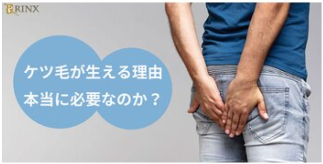けつ毛（お尻の毛）は必要？男性が処理するメリット
