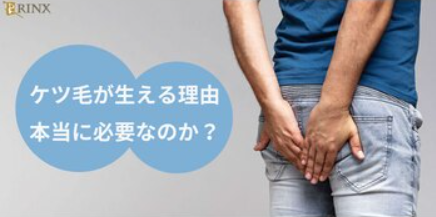 けつ毛（お尻の毛）は必要？男性が処理するメリット